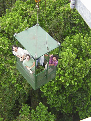 researchers in crane
