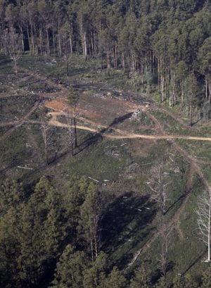 aerial photo