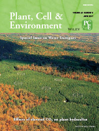 Plant Cell & Environment 40_6 cover