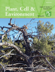 PCE cover v37 i11
